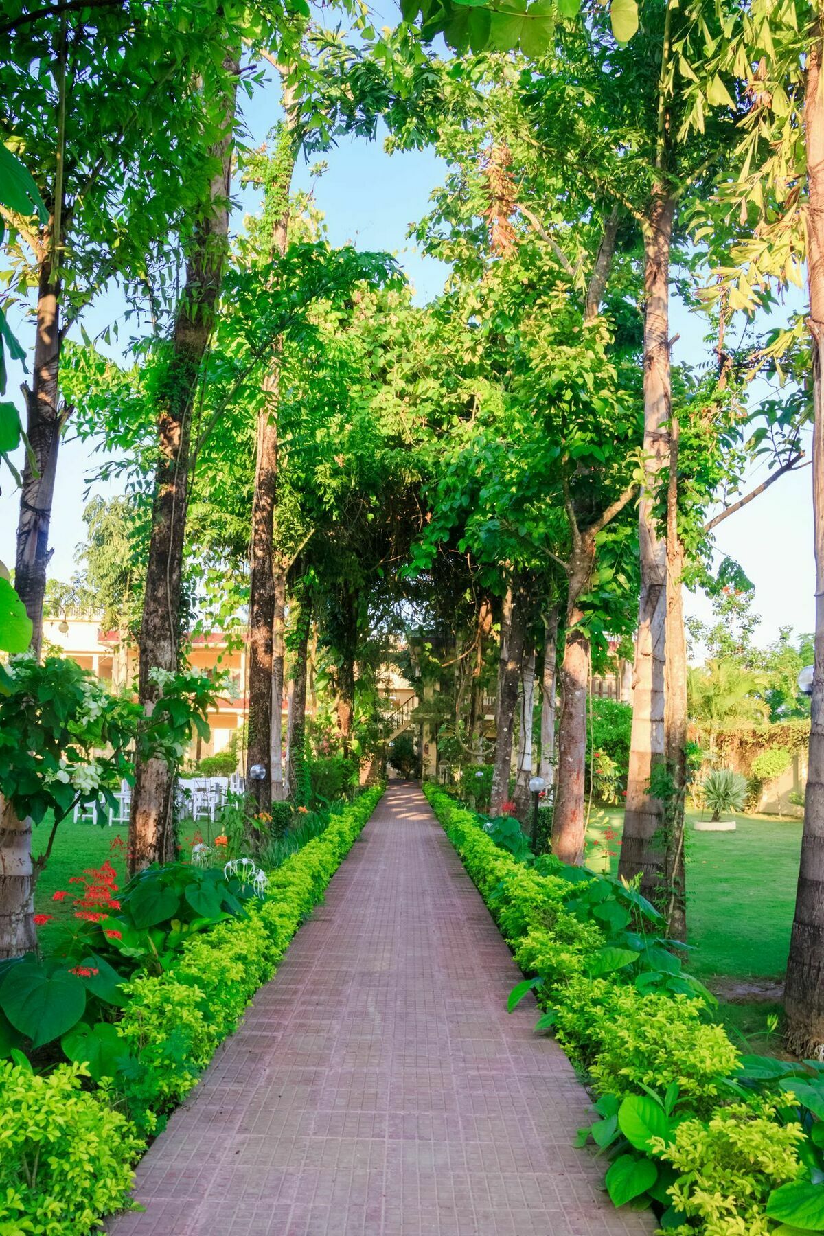 Hotel Rainforest Sauraha Exterior foto